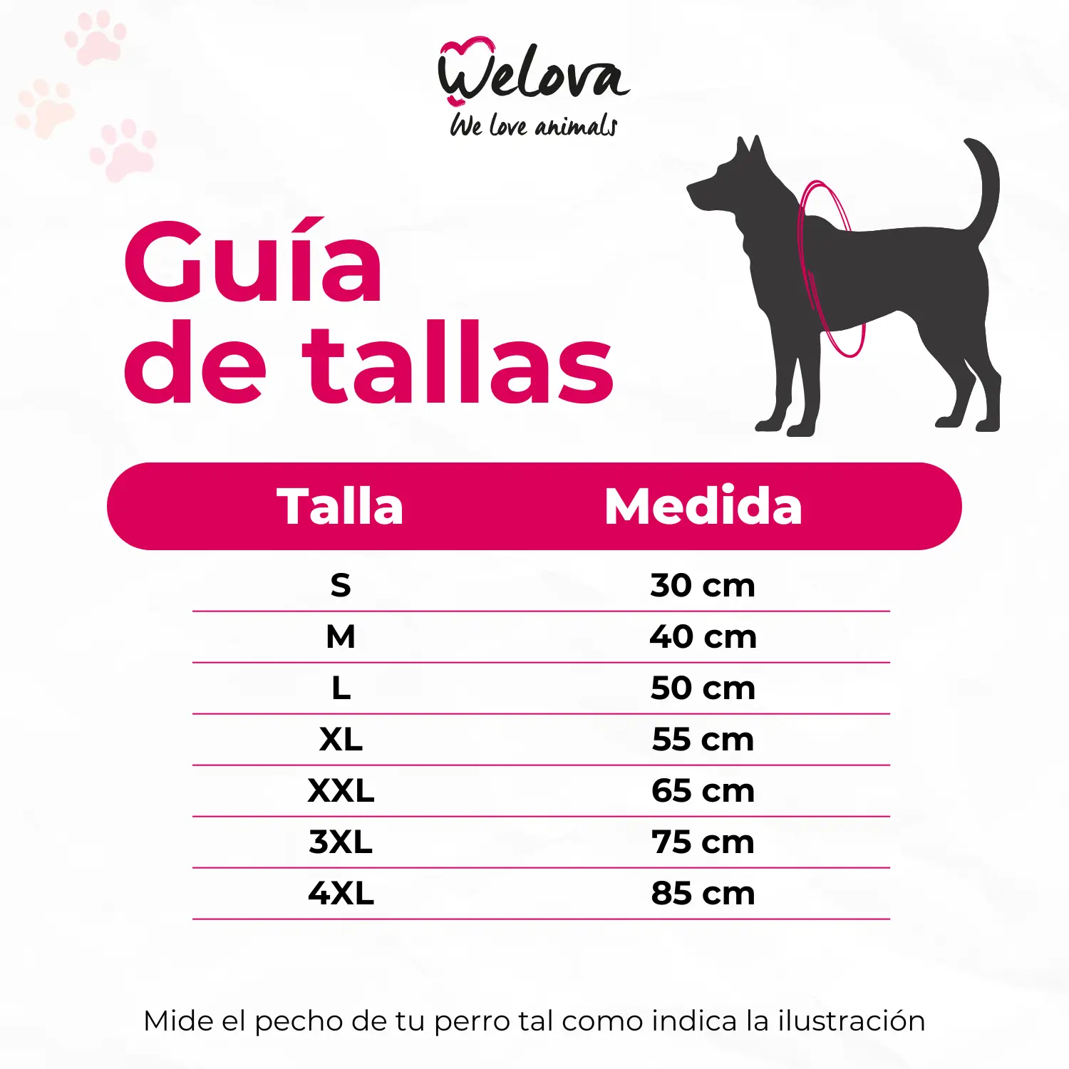 Imagen del producto 2