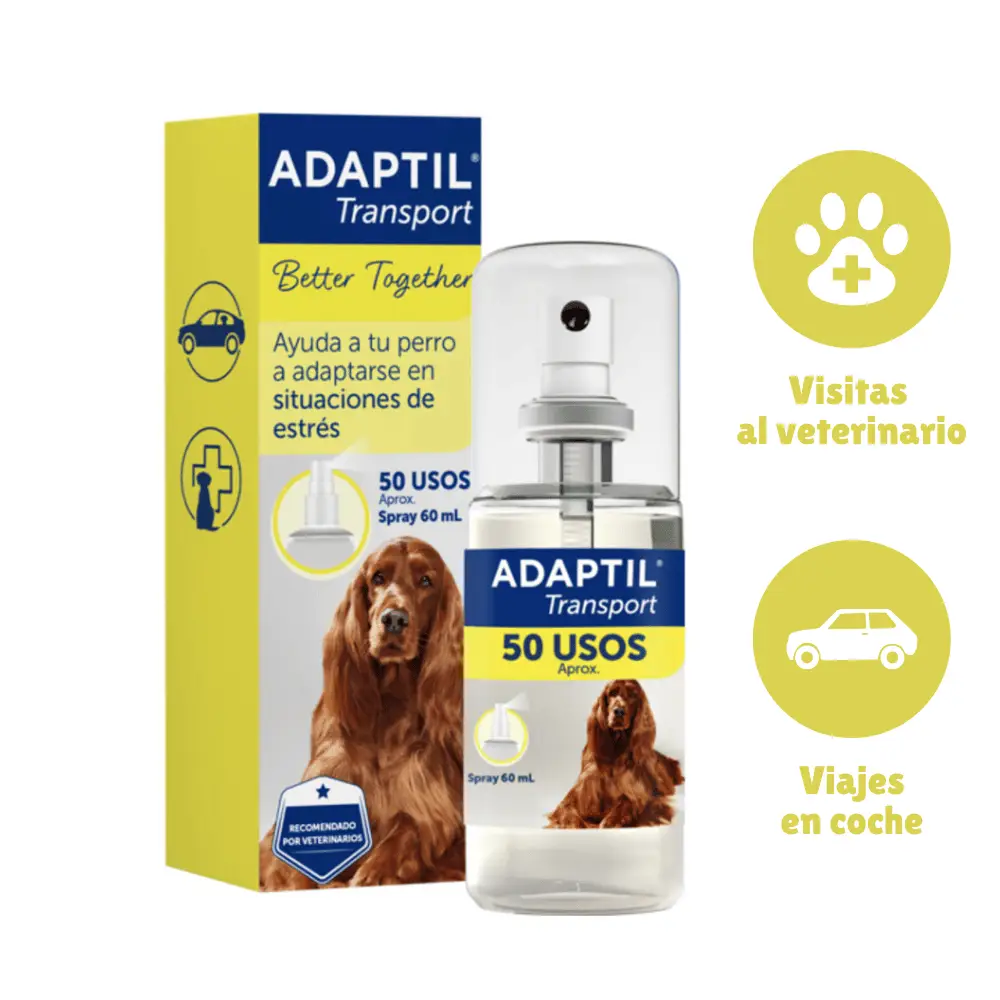 Imagen del producto 2