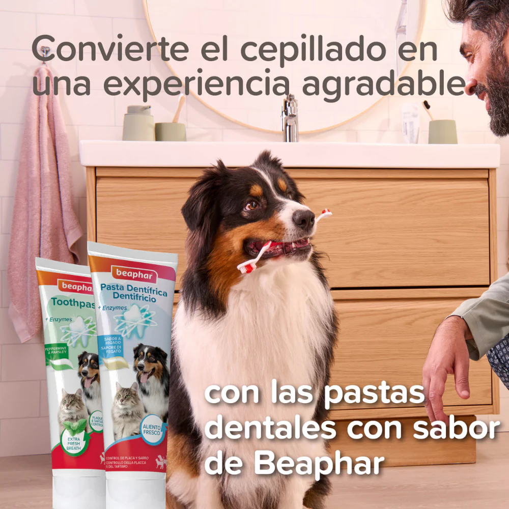 Imagen del producto 8