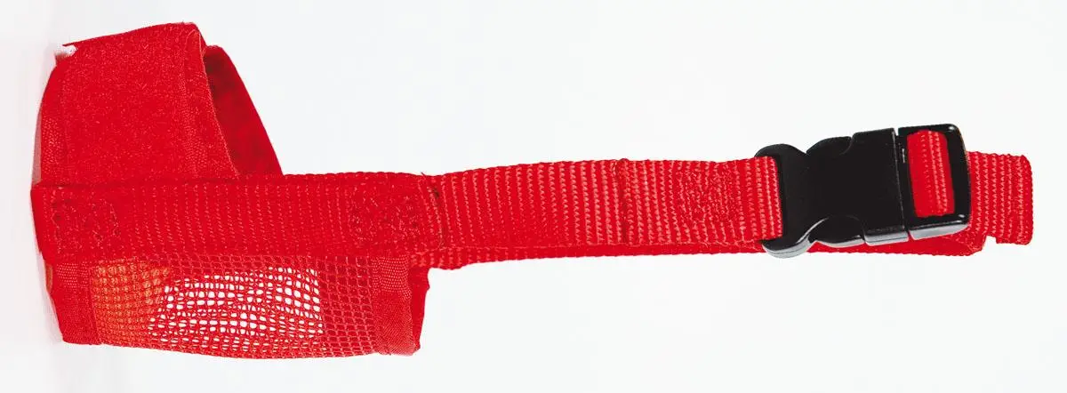 Imagen del producto 9