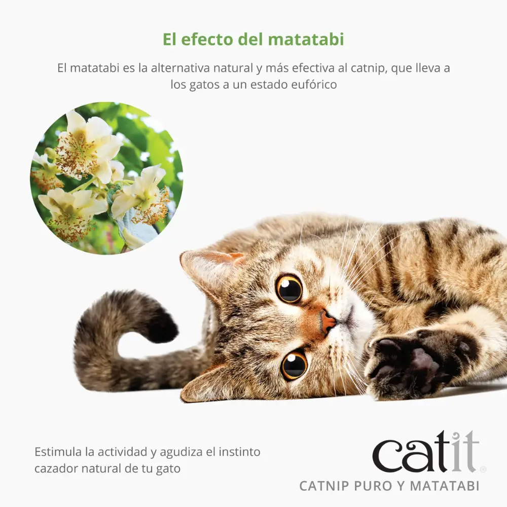 Imagen del producto 4
