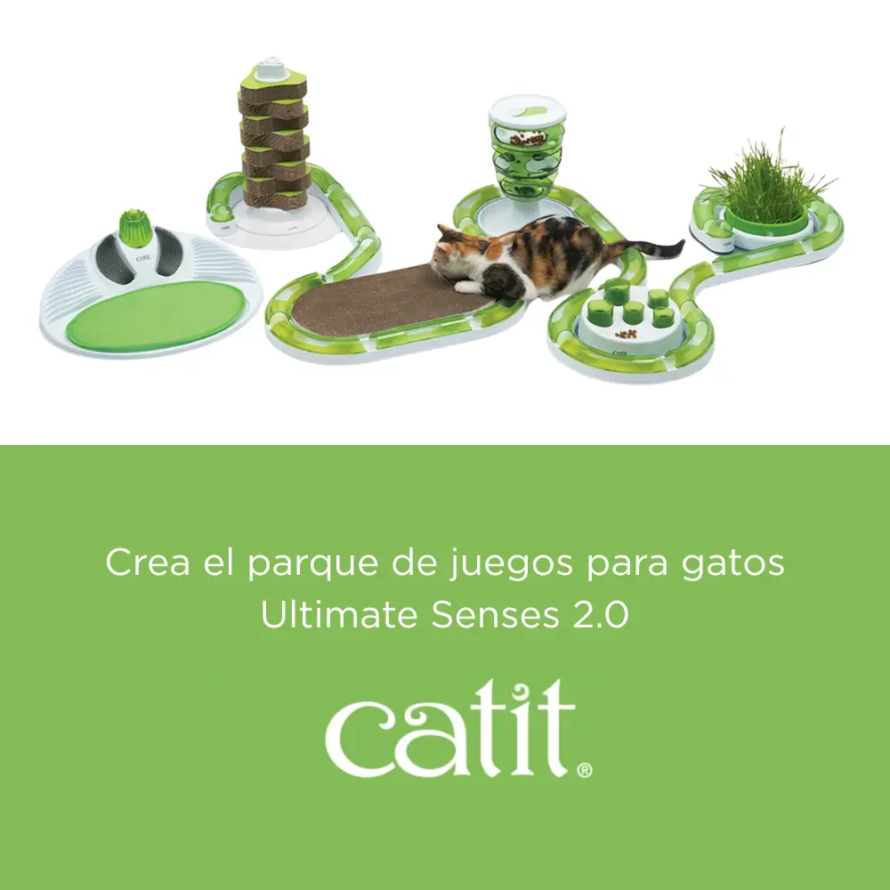 Imagen del producto 5