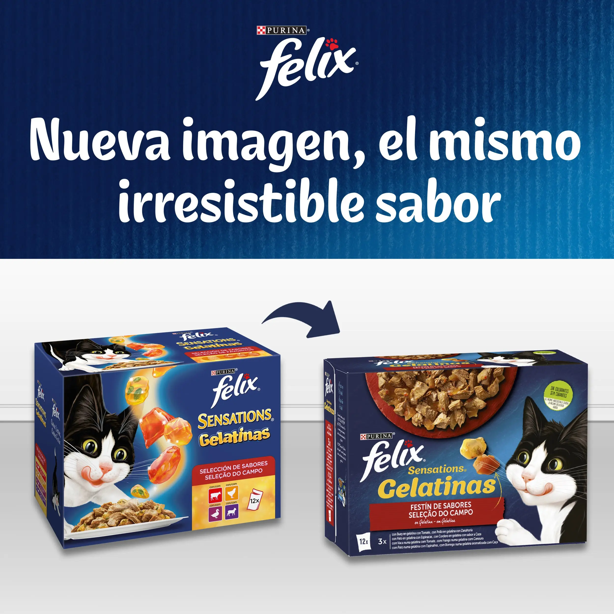 Imagen del producto 6