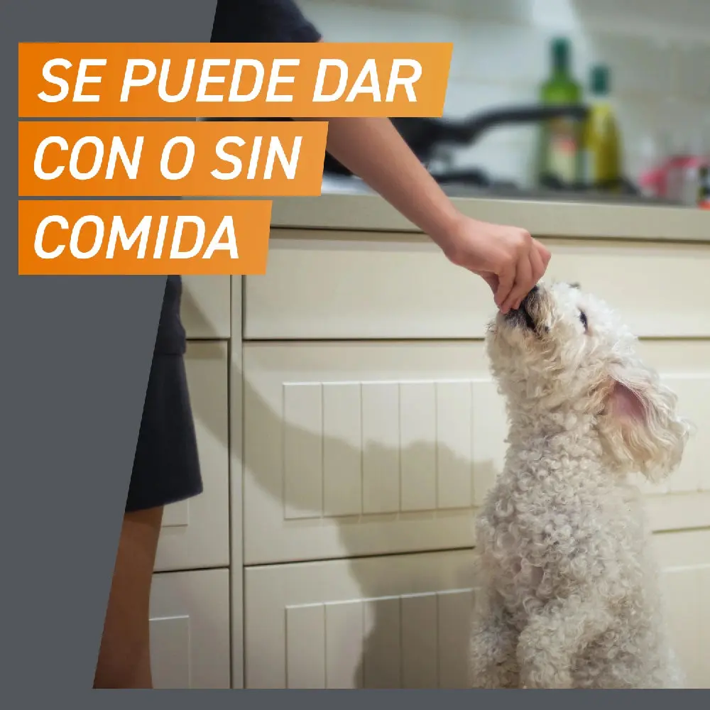 Imagen del producto 11