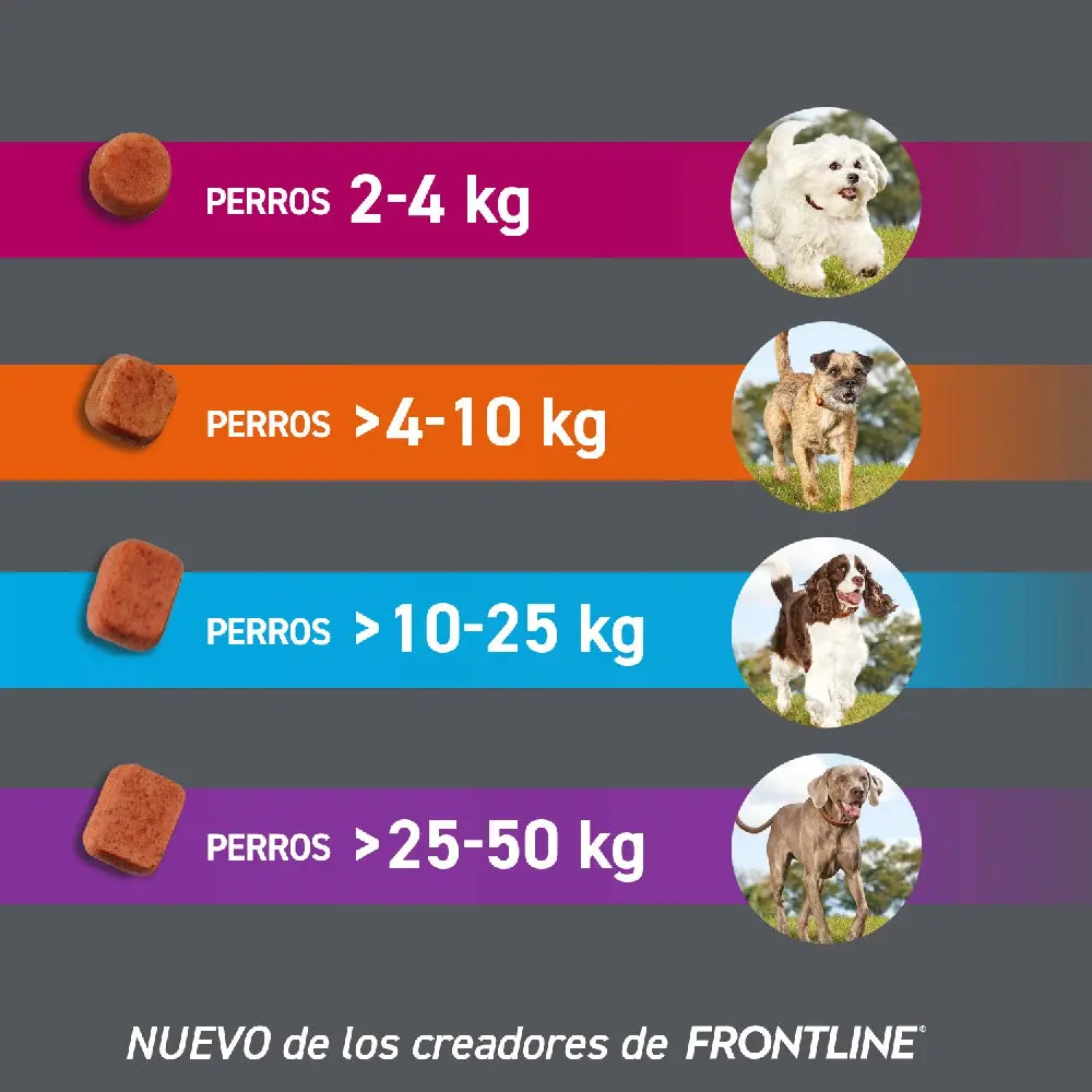Imagen del producto 12