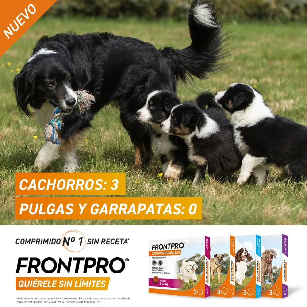 Imagen del producto 4