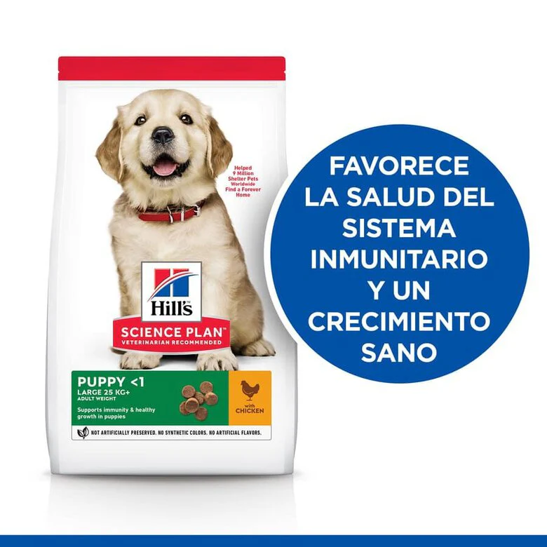 Imagen del producto 3