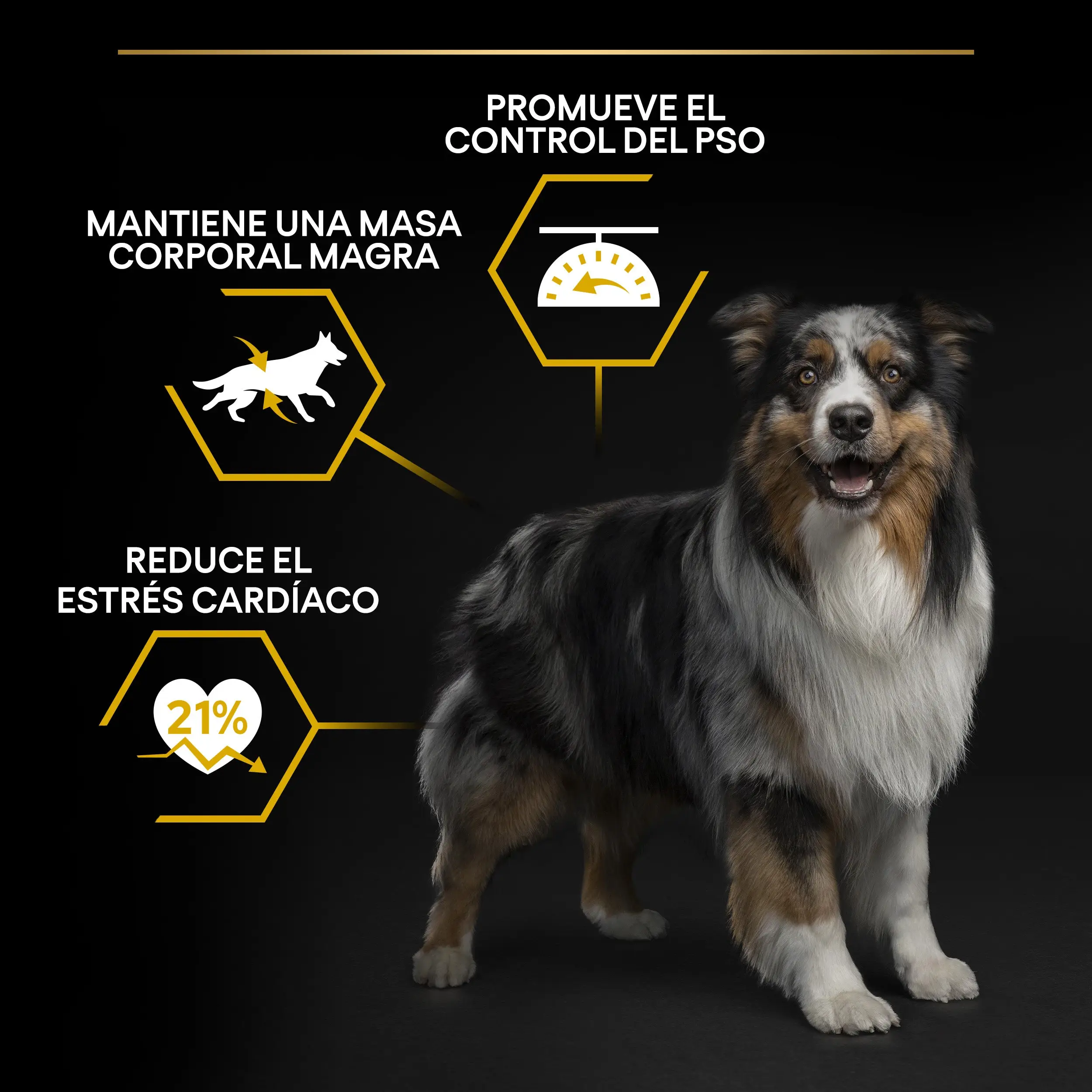 Imagen del producto 10