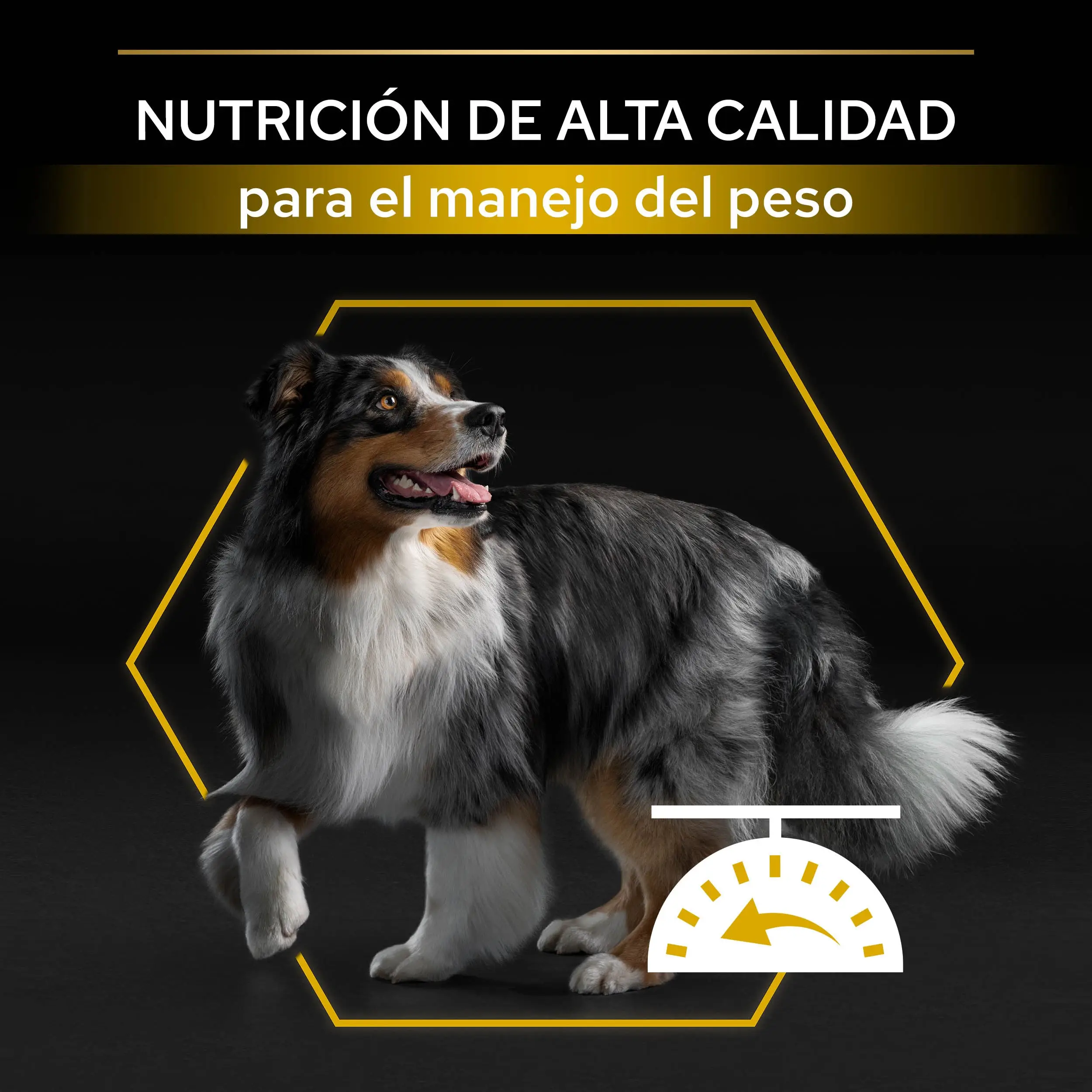 Imagen del producto 10