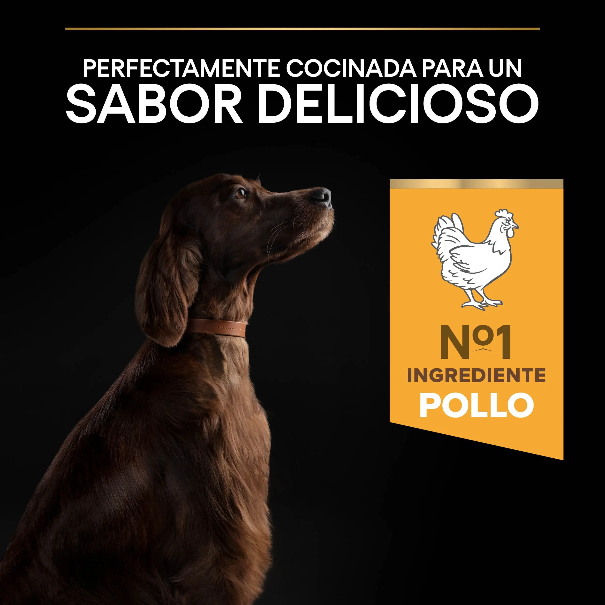 Imagen del producto 8