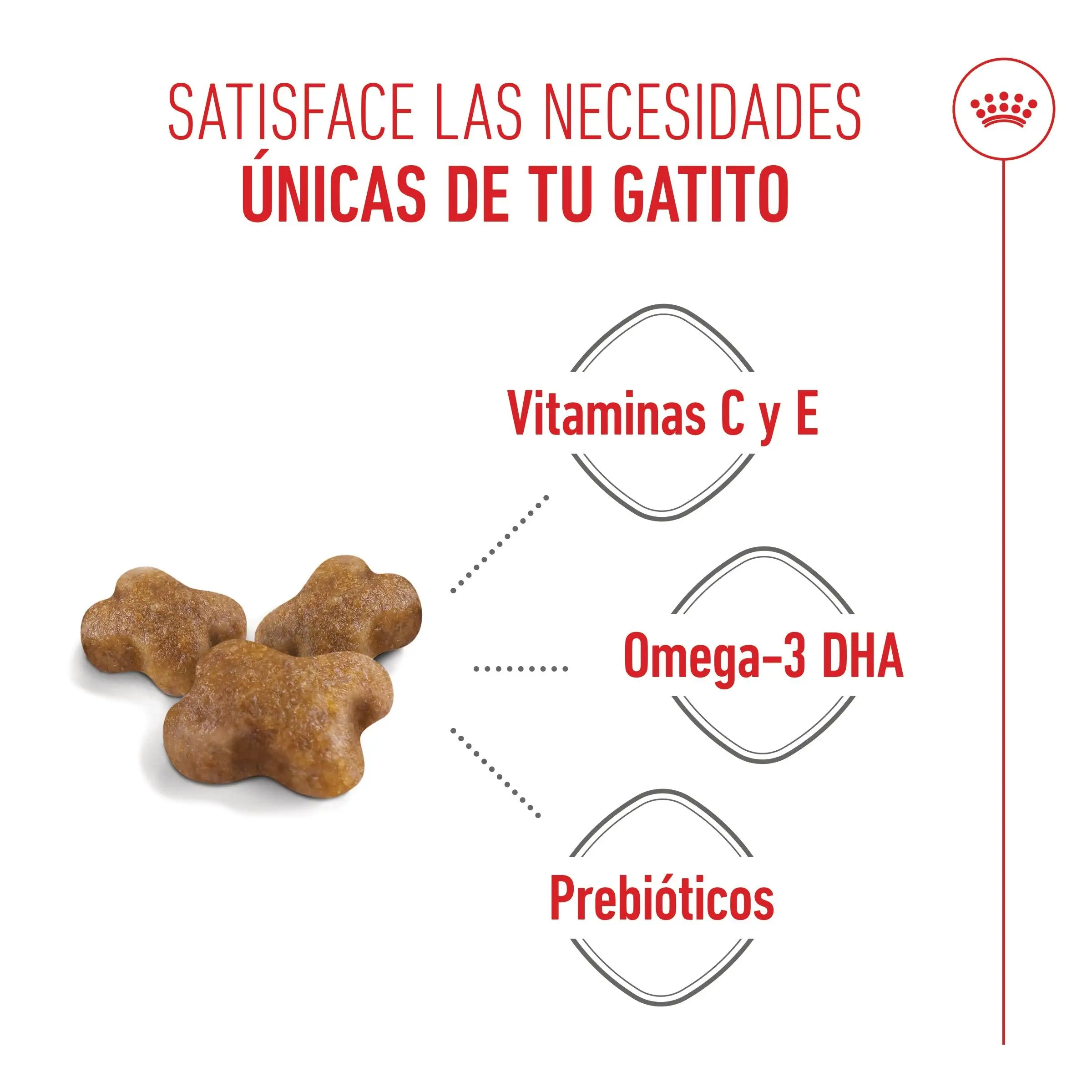 Imagen del producto 9