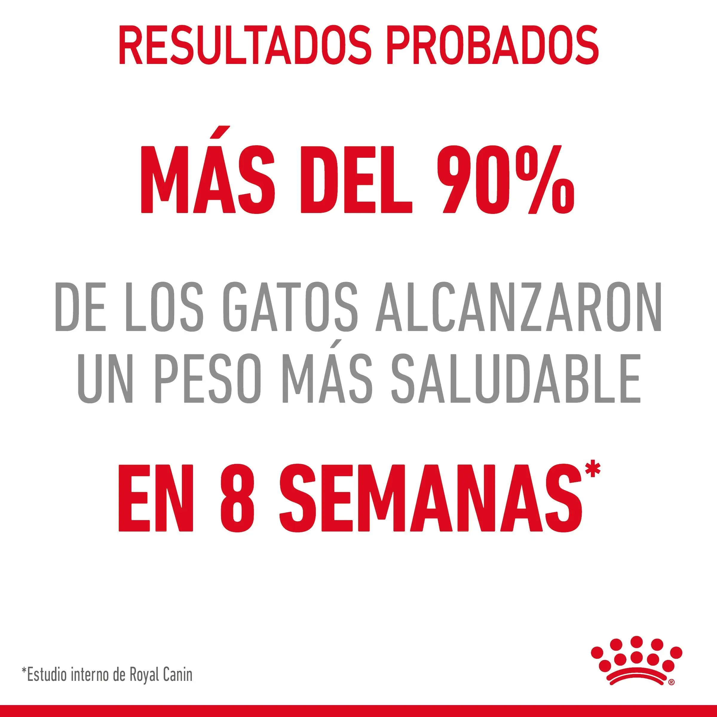Imagen del producto 9