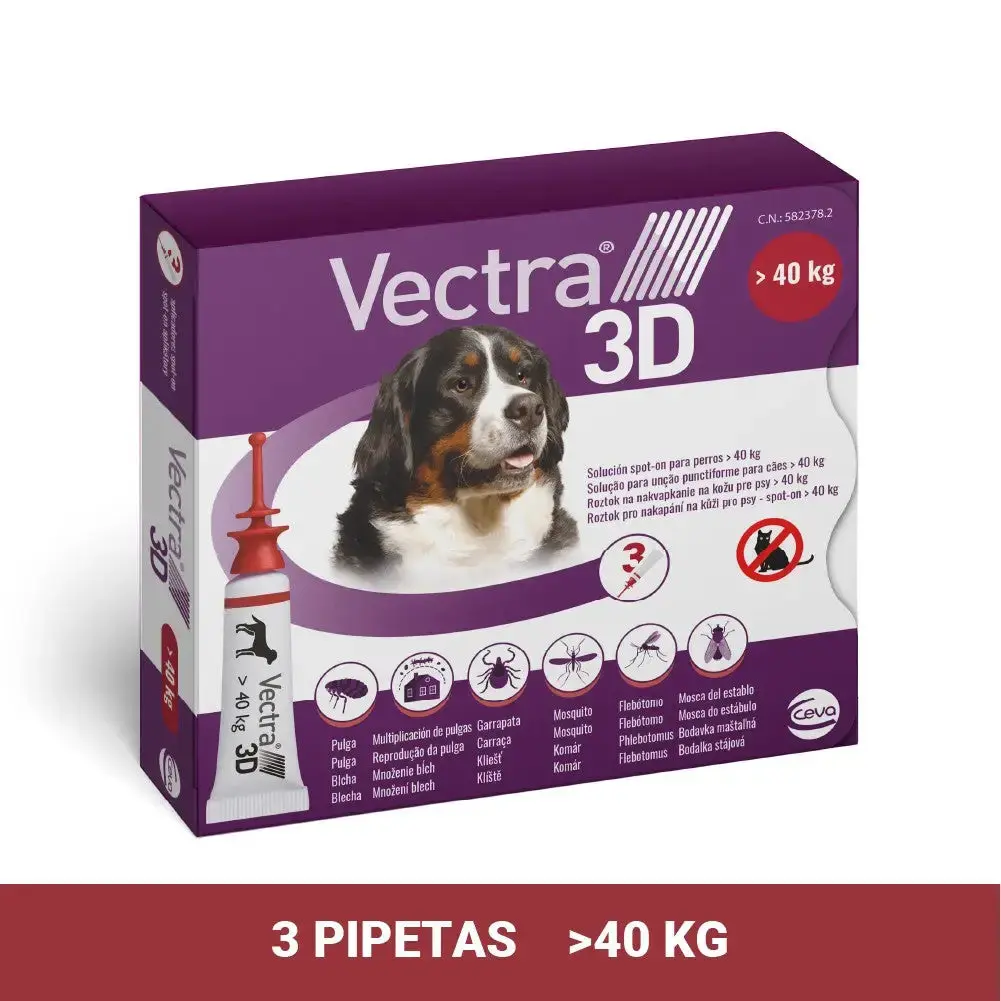 Imagen del producto 12