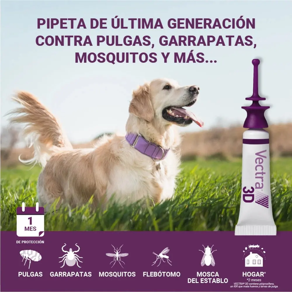Imagen del producto 8